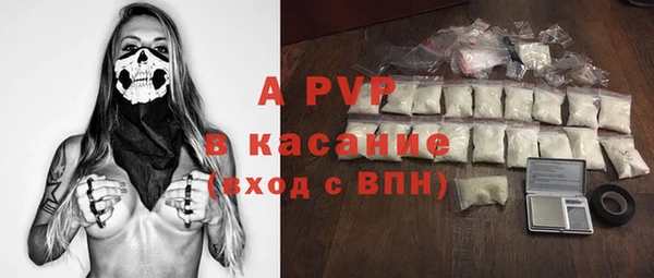 крисы Зерноград