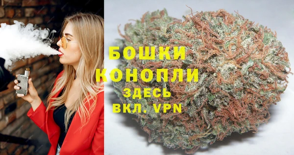 сатива Зеленокумск