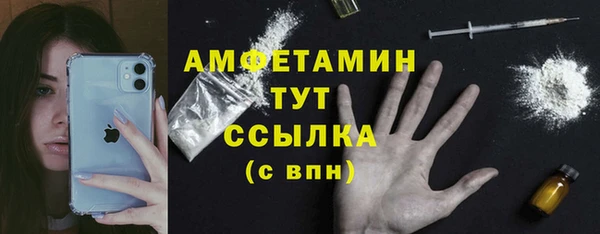 сатива Зеленокумск