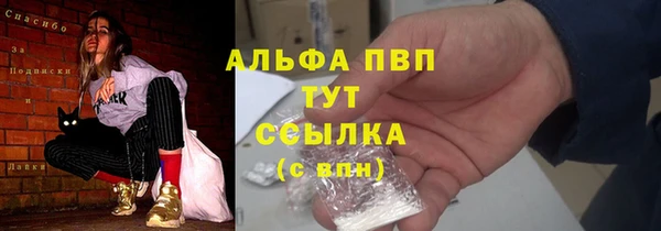 сатива Зеленокумск