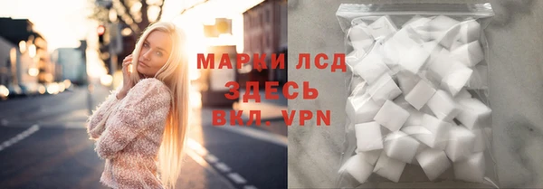 сатива Зеленокумск