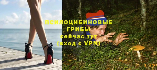 крисы Зерноград