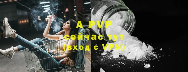 сатива Зеленокумск