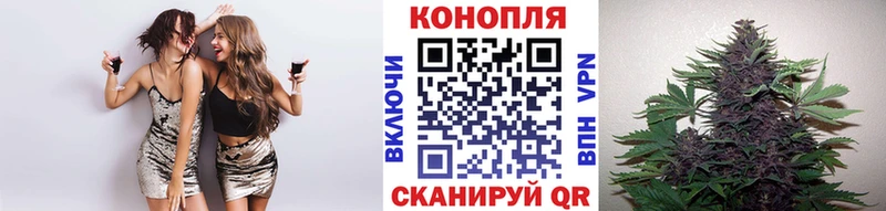 Шишки марихуана гибрид Великий Новгород