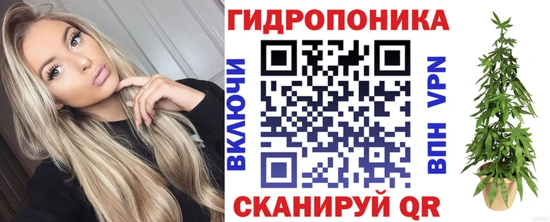 Канабис MAZAR  Купить где  Великий Новгород 
